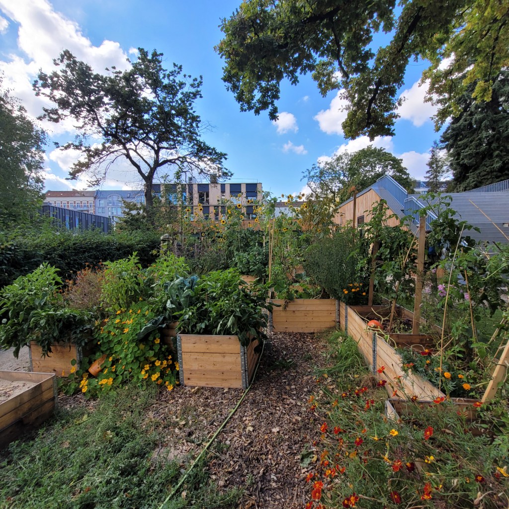 Gartenbesuch bei der Schreberjugend